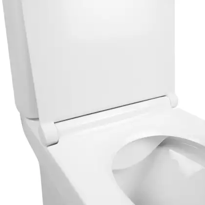 Унитаз-компакт Qtap Aquarius безободковый с сиденьем Soft-close QT2122C665PW Унитаз-компакт Qtap Aquarius безободковый с сиденьем Soft-close QT2122C665PW