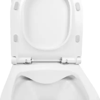 Унитаз-компакт Qtap Aquarius безободковый с сиденьем Soft-close QT2122C665PW Унитаз-компакт Qtap Aquarius безободковый с сиденьем Soft-close QT2122C665PW