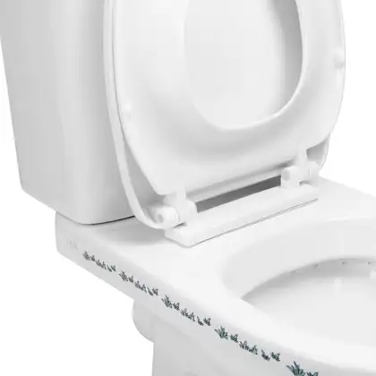 Унитаз-компакт детский Qtap Baby с сиденьем QT2322C229PEWD Унитаз-компакт детский Qtap Baby с сиденьем QT2322C229PEWD