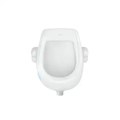 Qtap Baby Подвесной писсуар, белый с рисунком (QT2388U460EWD) Qtap Baby Подвесной писсуар, белый с рисунком (QT2388U460EWD)