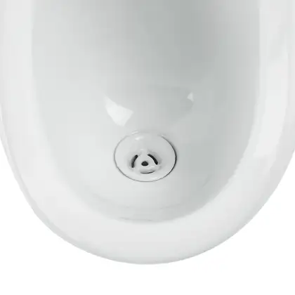 Qtap Baby Подвесной писсуар, белый с рисунком (QT2388U460EWD) Qtap Baby Подвесной писсуар, белый с рисунком (QT2388U460EWD)