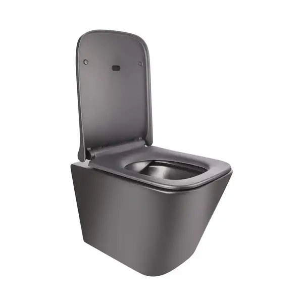 Унитаз подвесной Qtap Tern безободковый с сиденьем Soft-close QT1733052ERMB Унитаз подвесной Qtap Tern безободковый с сиденьем Soft-close QT1733052ERMB