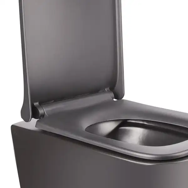 Унитаз подвесной Qtap Tern безободковый с сиденьем Soft-close QT1733052ERMB Унитаз подвесной Qtap Tern безободковый с сиденьем Soft-close QT1733052ERMB