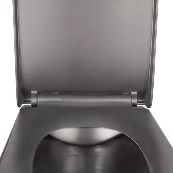Унитаз подвесной Qtap Tern безободковый с сиденьем Soft-close QT1733052ERMB Унитаз подвесной Qtap Tern безободковый с сиденьем Soft-close QT1733052ERMB