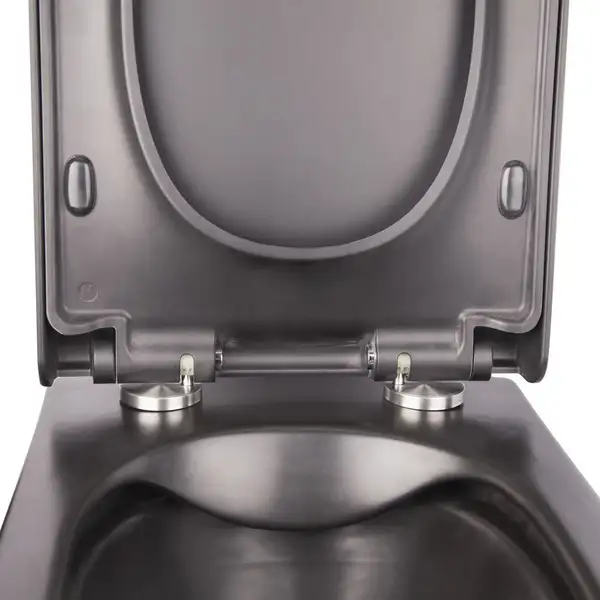 Унитаз подвесной Qtap Tern безободковый с сиденьем Soft-close QT1733052ERMB Унитаз подвесной Qtap Tern безободковый с сиденьем Soft-close QT1733052ERMB