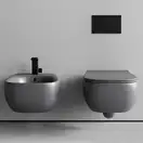 Унитаз подвесной Goclean® (безободковый) Flaminia Fluo с сиденьем Soft Close, цвет - Cenere opaco (матовый) FU118G+FUCW05 Cenere