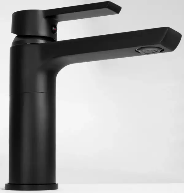 Смеситель для раковины (умывальника) REA ARGUS BLACK черный низкий (REA-B6210)