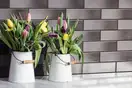Підвіконник Grafit GLAZED 13,5x24,5x1,3 код 1694 Cerrad (5903263441694)