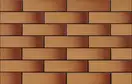 CERRAD Miodowa GLAZED Плитка фасадная, медовая (9850) (5903263449850)