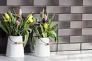 CERRAD Grafit GLAZED Плитка фасадна, графіт (5903263449867)