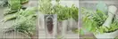 Декор Salerno Glass Kitchen 1 Inserto 200x600x8,5 Konskie (5902027010329)