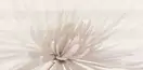 OPOCZNO Декор Avangarde White Flower 29,7x60 код 7414 Опочно (TDZZ1032142405)