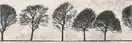Декор Willow Sky Inserto Tree 290×890 x11 Opoczno (TDZZ1225083745)