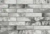 CERRAD Piatto Gris Фасадний камінь, сірий (5901779371368)