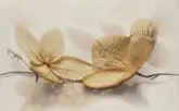 Cersanit Декор Samanta Flower 25x40 код 9205 Церсаніт (TDZZ1213726040)