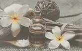 Cersanit Декор Olivia Grey Spa2 25x40 код 9243 Церсаніт (TDZZ1213746040)