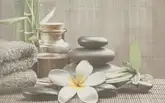 Cersanit Декор Olivia Grey Spa1 25x40 код 9250 Церсаніт (TDZZ1213756040)