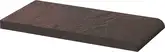 Підвіконник Semir Rosa 10x20 код 4579 Ceramika Paradyz (Z---200X100-1-SEMI.RO)