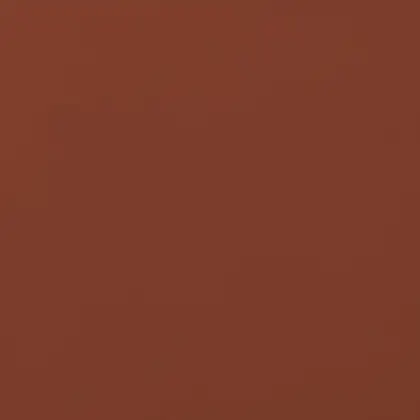 Плитка підлогова Rot 30x30x1,1 код 5241 Cerrad (5903263445241) Плитка підлогова Rot 30x30x1,1 код 5241 Cerrad (5903263445241)