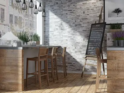 Камінь фасадний Canella Steel 30x49x1 код 7511 Cerrad (5903263447511) Камінь фасадний Canella Steel 30x49x1 код 7511 Cerrad (5903263447511)