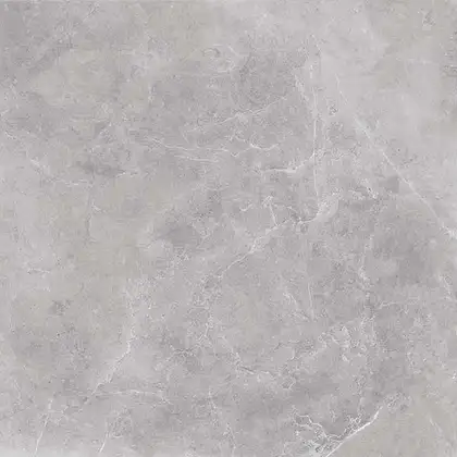 Плитка підлогова Silver Grey Світло-сірий POL 59,7x59,7 код 6585 Nowa Gala (P-P-SY12-60X060-095-1-1)