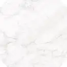 Плитка підлогова Frost White Білий Oktagon POL 59,7x59,7 код 8593 Nowa Gala (L-LCI-FW01-60X060-080-P-1-1)