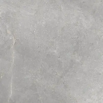 CERRAD Masterstone Плитка напольная Silver, 59.7x59.7 см (5903313315296) CERRAD Masterstone Плитка напольная Silver, 59.7x59.7 см (5903313315296)