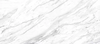 RAVIRAJ CERAMICS Плитка підлогова Atlanta White POL 60x120 Raviraj (Atlanta White 60x120 polished) RAVIRAJ CERAMICS Плитка підлогова Atlanta White POL 60x120 Raviraj (Atlanta White 60x120 polished)