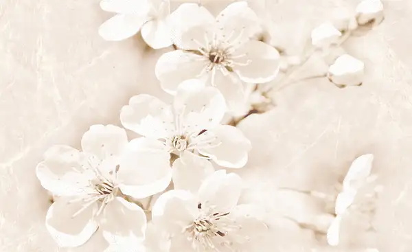 Cersanit Декор Sofi Flower 25x40 код 7148 Церсаніт (TDZZ1253181079)