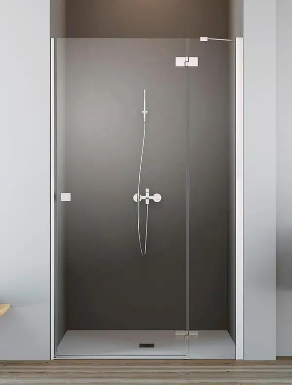 Душові двері Essenza New DWJ 100 праві, RADAWAY (385014-01-01R)