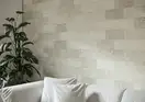 Cerrad Saltstone Фасадний камінь Bianco (5902510809348)