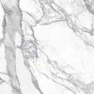 Плитка керамогранітна JW 12 Statuario Lunensis LUC SQ 600x600x9 Mirage (TV54)