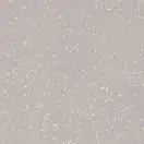 PARADYZ Moondust Silver Плитка напольная, серебро (RHR-598X598-1-MOST.SI)