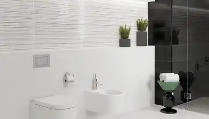 OPOCZNO Декор Ecosta White Stripes Silver 25x75 код 8083 Опочно (TDZZ1224202542)