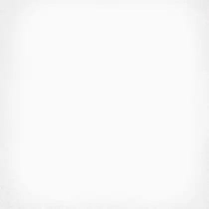 Плитка керамогранітна 1900 Blanco 200x200x8 Vives (11I0)