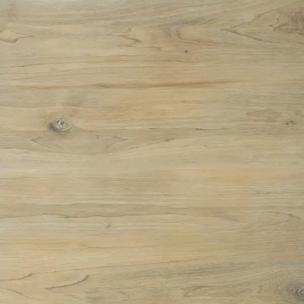 Плитка підлогова Ragaya Кремовий RECT 59,7x59,7x2 код 2189 Cerrad (5900423052189)
