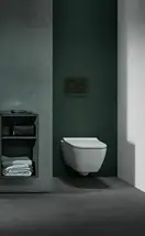 Geberit Sigma 20 Клавиша смыва, черный матовый (115.882.16.1)