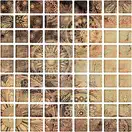 Мозаїка Ottavio Glass 250x250x9 Konskie (5901549844689)
