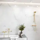 Ручний душ Hansgrohe Raindance Select S 120 3jet, золото (26530990)