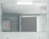 Salgar Зеркало Mirror SENA 900 + светильник (16911+84122)