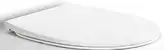 AeT Сиденье с крышкой для унитаза DOT 2.0 (C555R101 soft close) (C555R101)