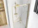 Душевая дверь REA RAPID SLIDE 100 GOLD (REA-K5611)