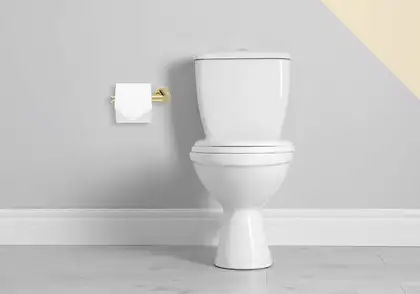 Держатель для туалетной бумаги  REA MIST 04 GOLD (REA-80026)