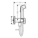 Hansgrohe Bidette 1jet S EcoSmart+ Гігієнічний душ, чорний матовий (29232670)