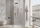 Лейка для душа Hansgrohe Pulsify E 100 1jet EcoSmart+ (цвет - шлифованная бронза) 24321140