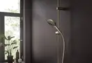 Лейка для душа Hansgrohe Raindance Select S PowderRain (цвет - шлифованная бронза), 3 вида струи 26014140