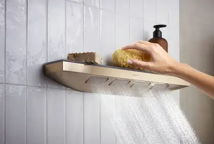 Душевая лейка 500 с душевой полкой Hansgrohe Rainfinity, 1 тип струи (цвет - шлифованная бронза) 26243140 Душевая лейка 500 с душевой полкой Hansgrohe Rainfinity, 1 тип струи (цвет - шлифованная бронза) 26243140