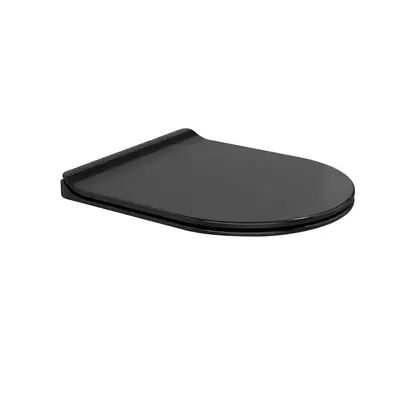 Кришка для унітазу Flaminia Link Slim soft-closing, петлі швидкознімні, чорний глянсовий (LKCW09) (LKCW09NER) Кришка для унітазу Flaminia Link Slim soft-closing, петлі швидкознімні, чорний глянсовий (LKCW09) (LKCW09NER)