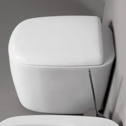 Кришка для унітазу Flaminia Mono, carbone matt (MNCW03) (MNCW03CAR) Кришка для унітазу Flaminia Mono, carbone matt (MNCW03) (MNCW03CAR)