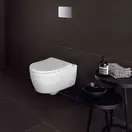 Унитаз подвесной Rimfree (безободковий) Geberit Icon, с сиденьем Soft Close (500.784.01.1)